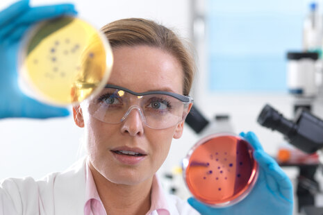 Eine junge Frau im Labor mit einer großen Schutzbrille vor den Augen hält eine Petrischale in der Hand. Man sieht auch ein Mikroskop.