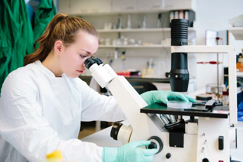 Chemielaborantin arbeitet am Mikroskop mit grünen Laborhandschuhen. Chemielaboranten analysieren Stoffe, untersuchen optische Eigenschaften unter dem Mikroskop, führen chemische Synthesen durch und dokumentieren Versuchsergebnisse präzise.