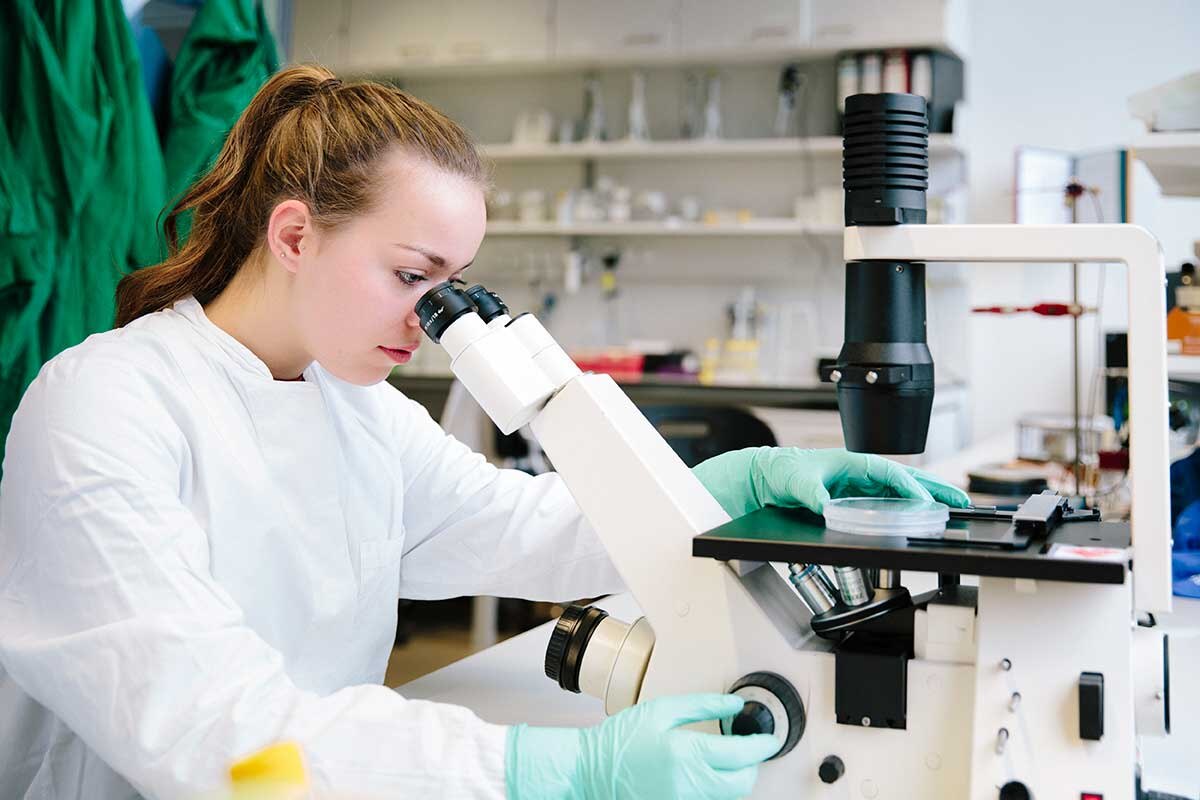 Eine weibliche Laborantin guckt in ein Mikroskop.