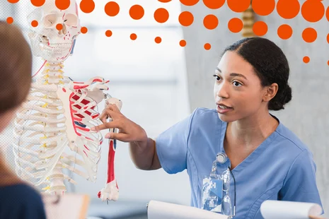 Ausbildung im Gesundheitswesen: Dozentin erklärt an anatomischem Skelettmodell Muskel- und Knochenstrukturen. Anatomieunterricht mit Modellen ist essenziell für Medizinstudium und Ausbildung von Gesundheitsberufen wie Physiotherapie und Pflege.