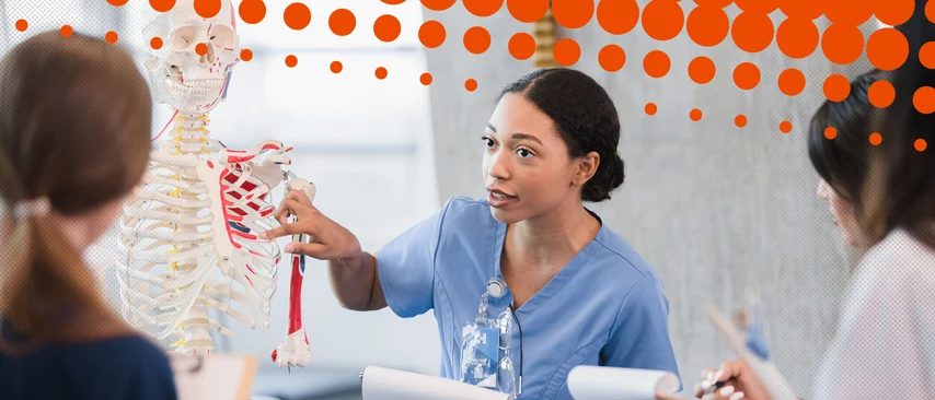 Dozentin erklärt am Skelettmodell Wirbelsäule und Muskulatur. Anatomieunterricht in Gesundheitsausbildung mit Präsentationsfolien. Anatomische Modelle sind unverzichtbar für Medizinstudium, Pflegeausbildung und Therapeutenausbildung.