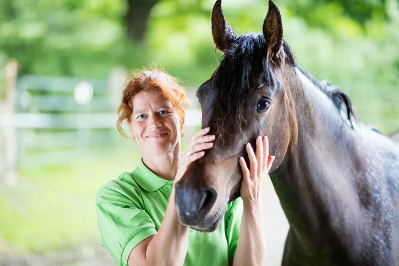 Tierärztin in grünem Poloshirt streichelt Pferdekopf auf Koppel. Zaun und Bäume im Hintergrund.