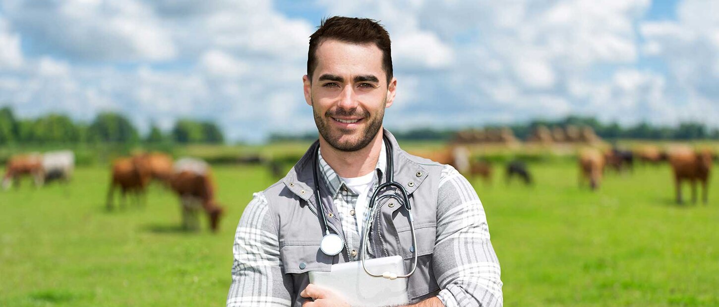 Tierarzt mit einem Stethoskop um den Hals steht auf einer Kuhweide, blickt in die Kamera.